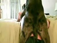 shows dog fucking a Girl - Zoo Porn Dog Sex, Zoophilia